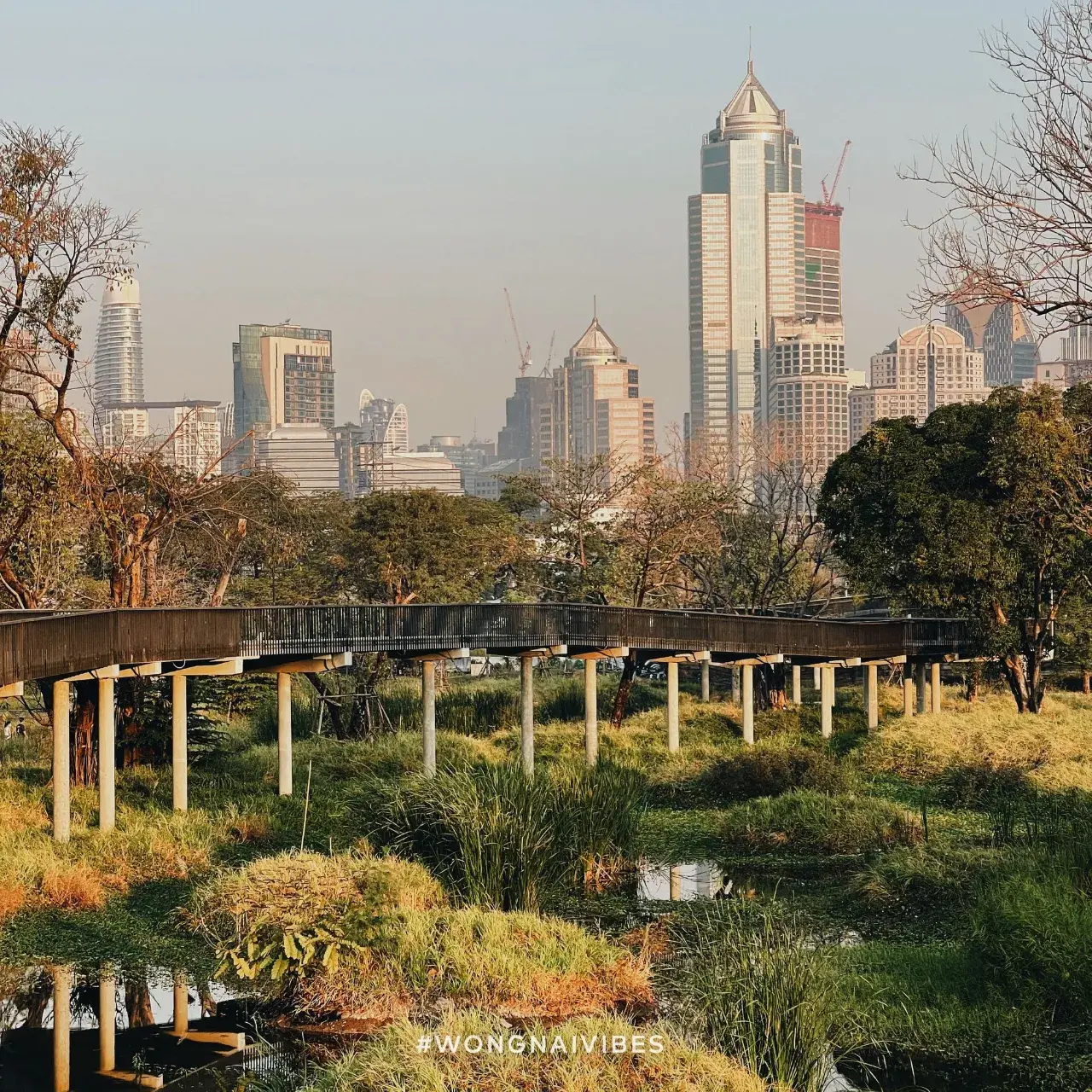 Benjakitti Park, Bangkok 🇹🇭