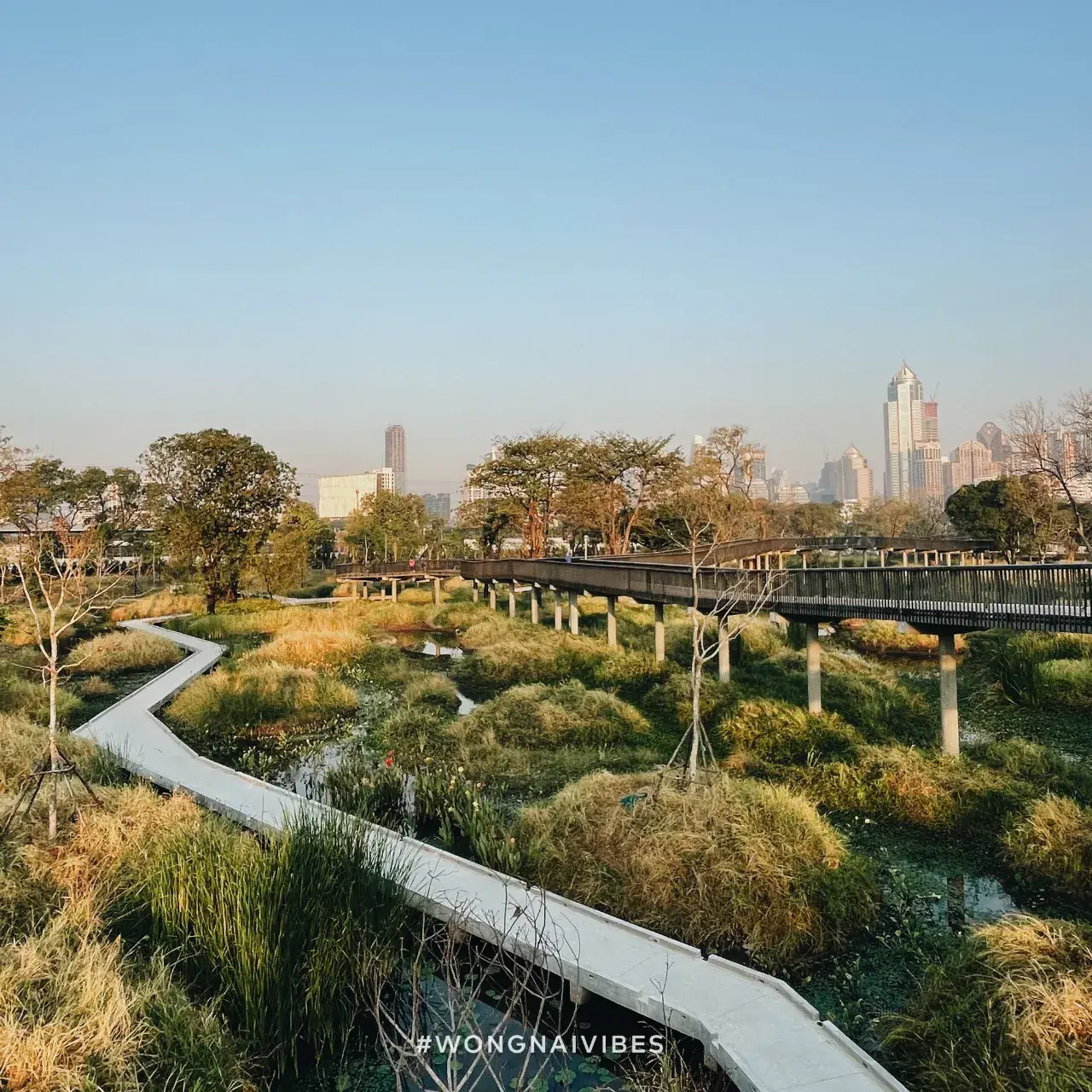 Benjakitti Park, Bangkok 🇹🇭