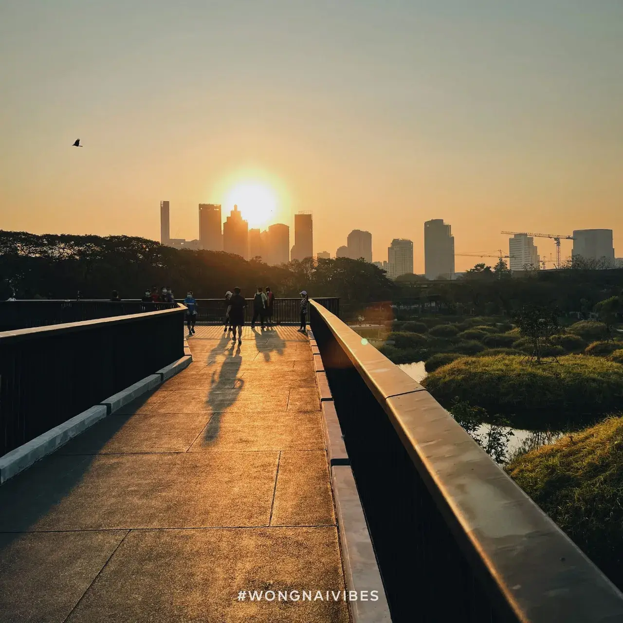 Benjakitti Park, Bangkok 🇹🇭