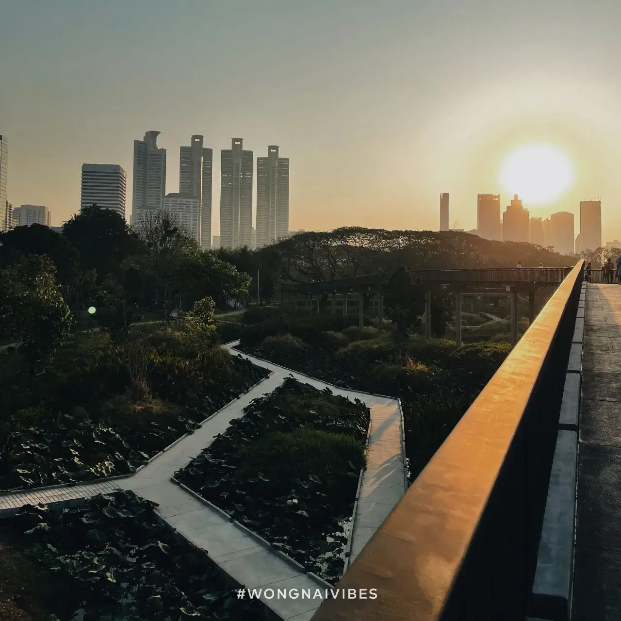 Benjakitti Park, Bangkok 🇹🇭