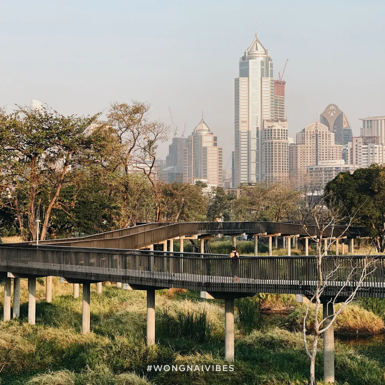 Benjakitti Park, Bangkok 🇹🇭