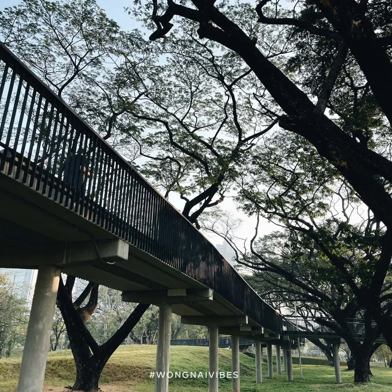 Benjakitti Park, Bangkok 🇹🇭