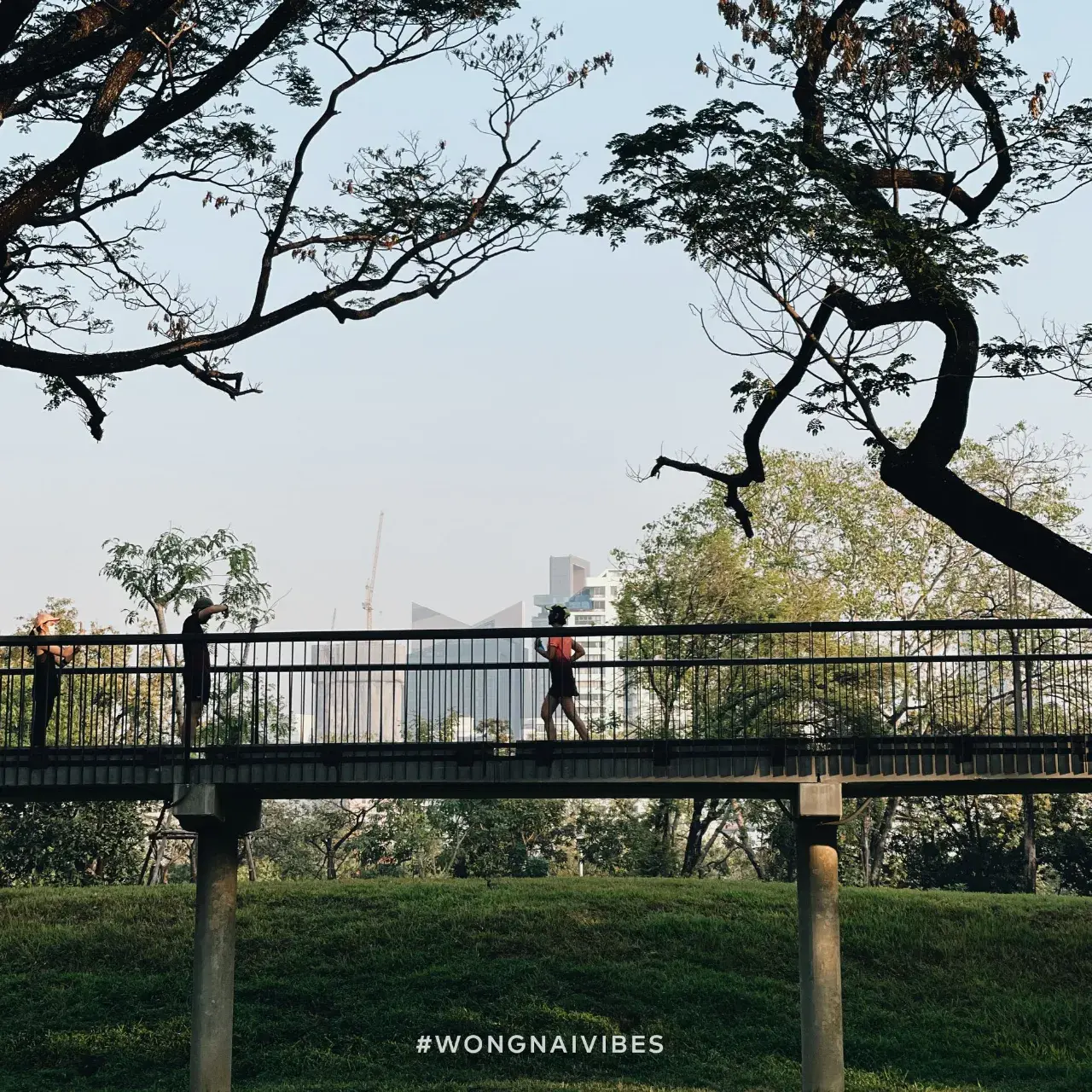 Benjakitti Park, Bangkok 🇹🇭