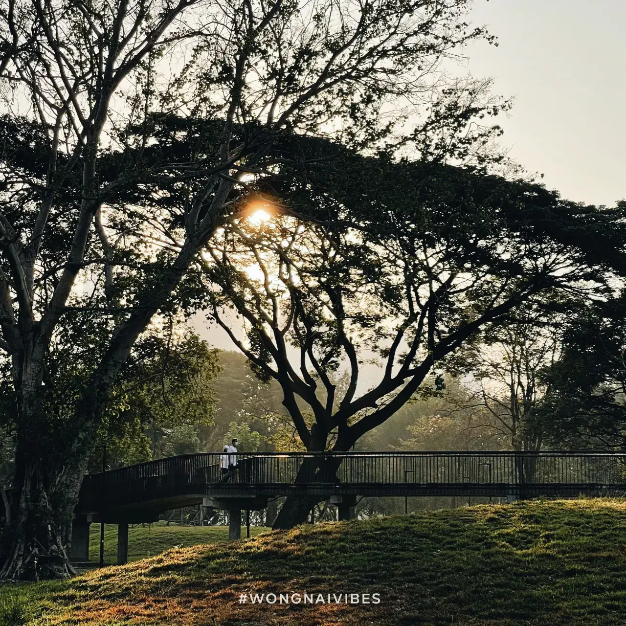 Benjakitti Park, Bangkok 🇹🇭
