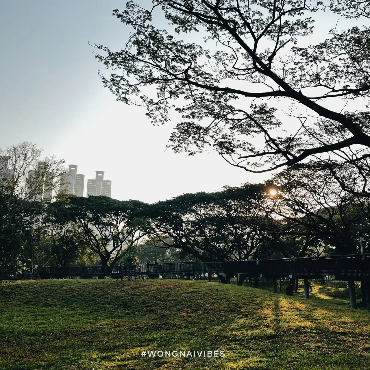 Benjakitti Park, Bangkok 🇹🇭