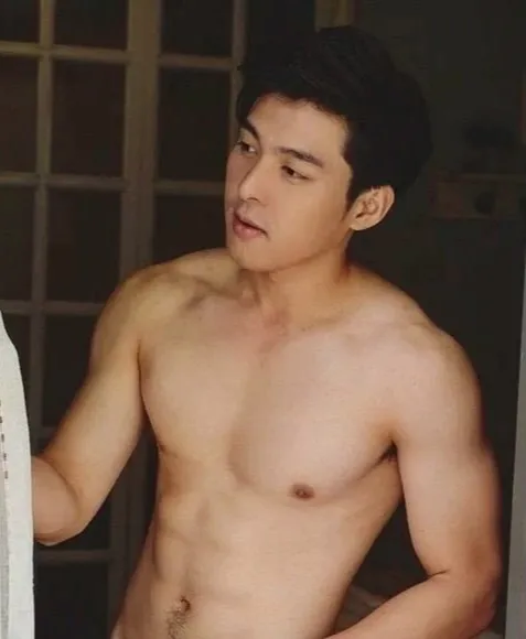 ปก ปิด