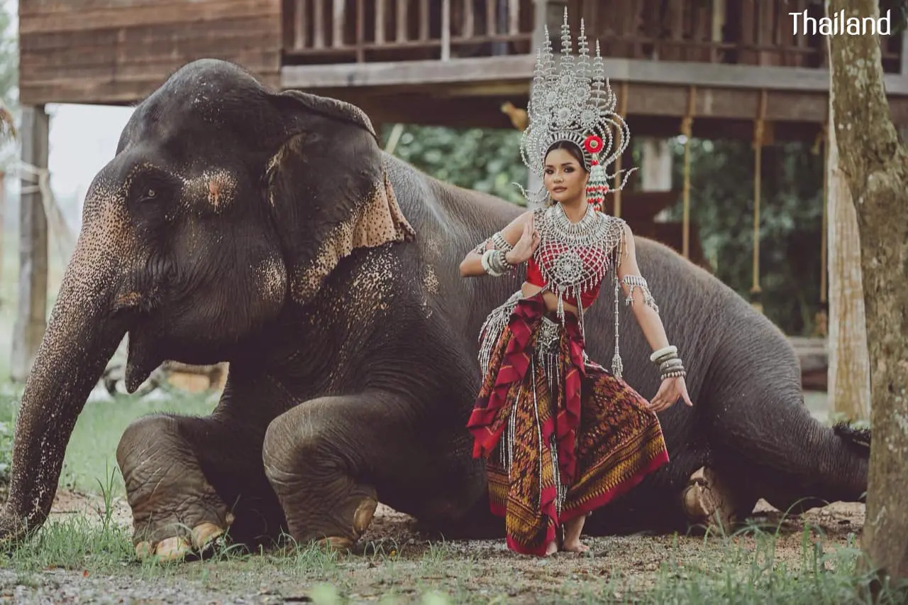 Thai Apsara and the Elephant 🇹🇭