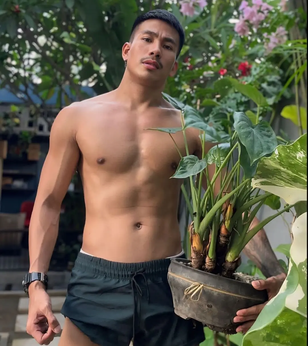 ผู้ชาย..ไม้งาม