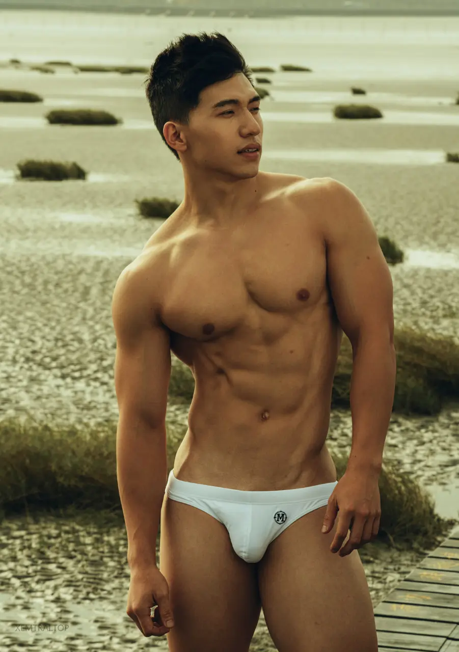 Photobook : TROY