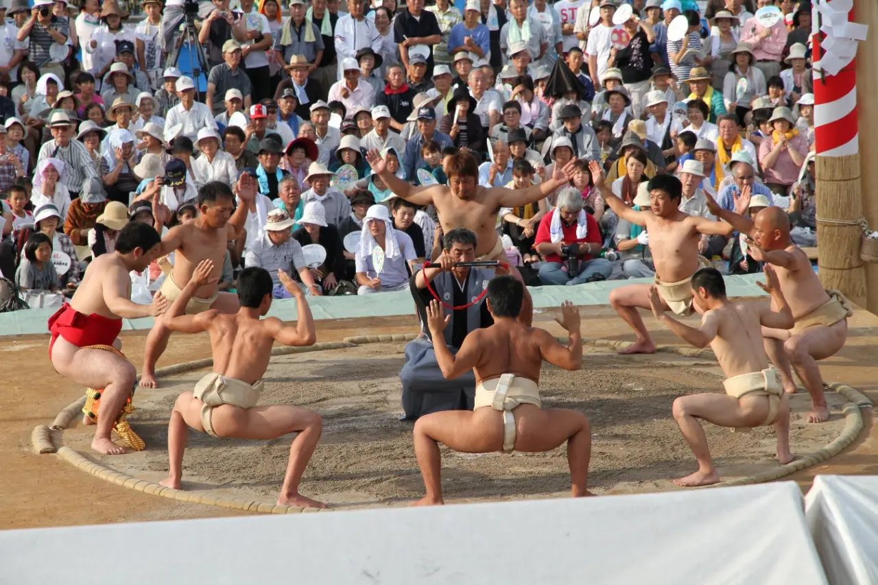 Amateur Sumo