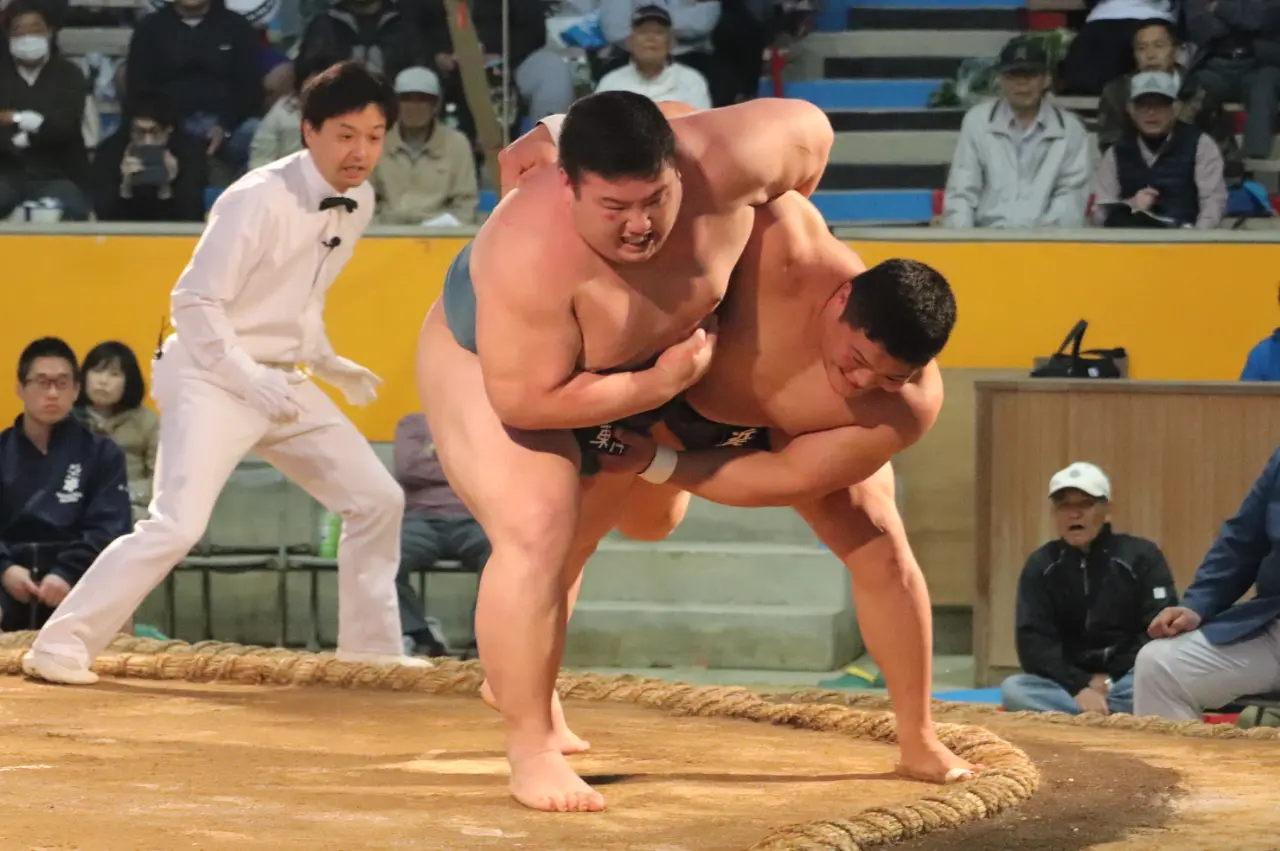 Amateur Sumo