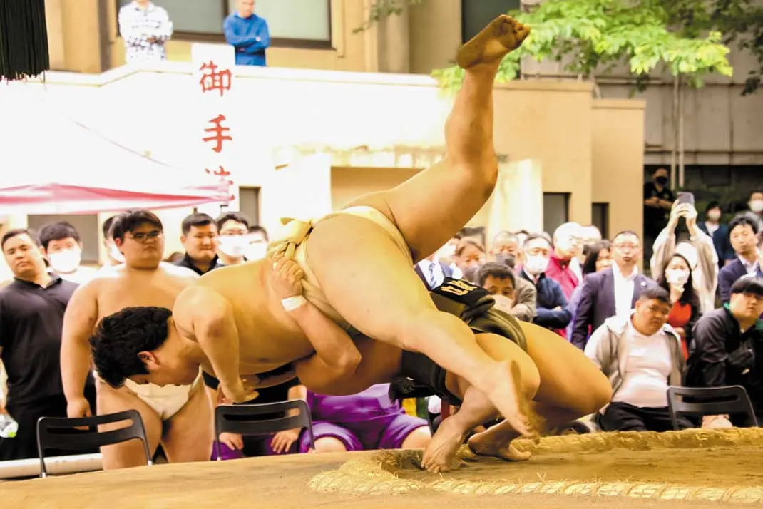 Amateur Sumo