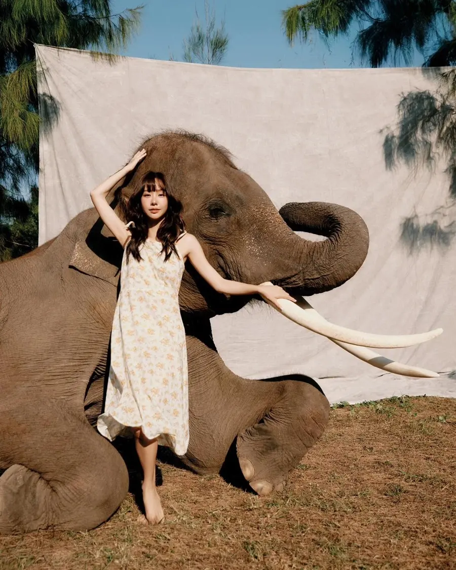 เต้ย-จรินทร์พร @ Harper's BAZAAR Singapore February 2025