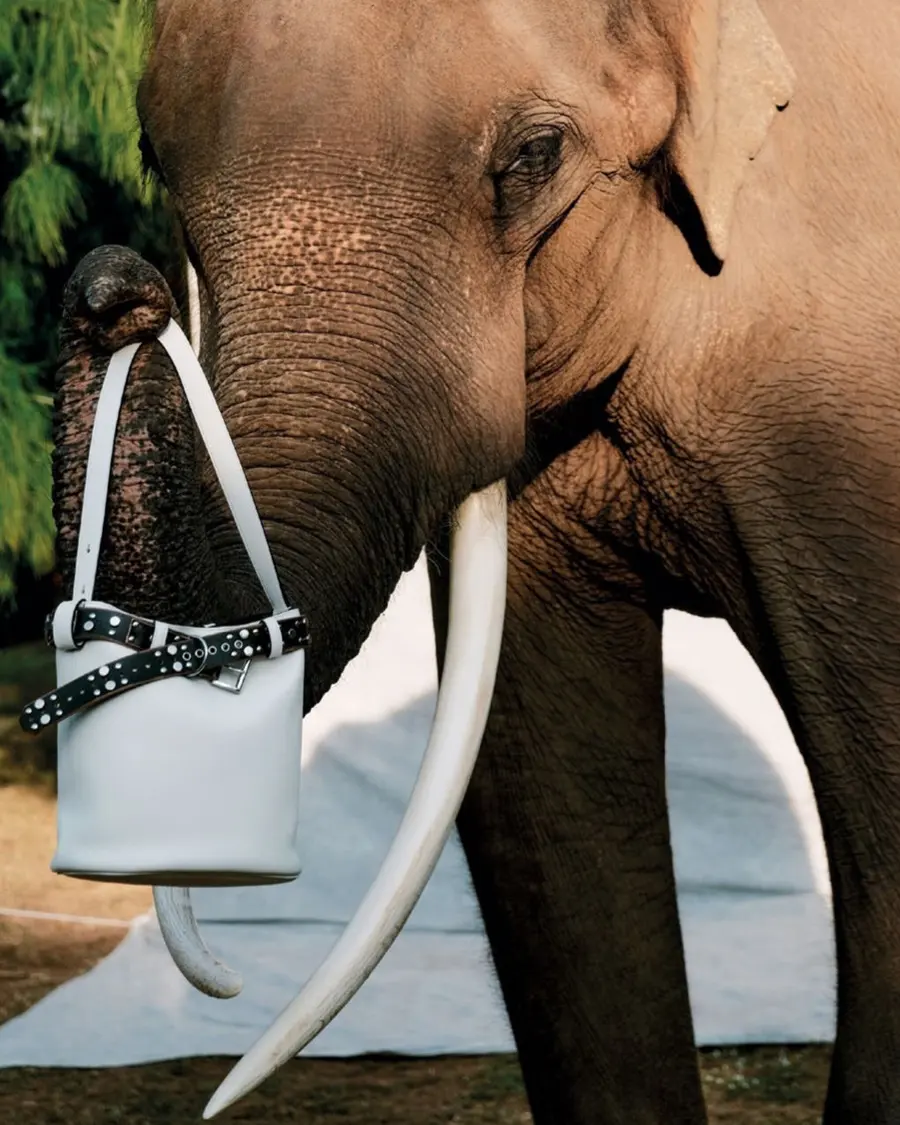 เต้ย-จรินทร์พร @ Harper's BAZAAR Singapore February 2025