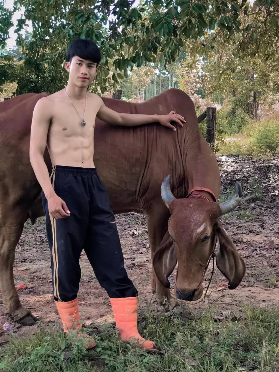 มวยโค้กเถ่อะพ่อคุณ