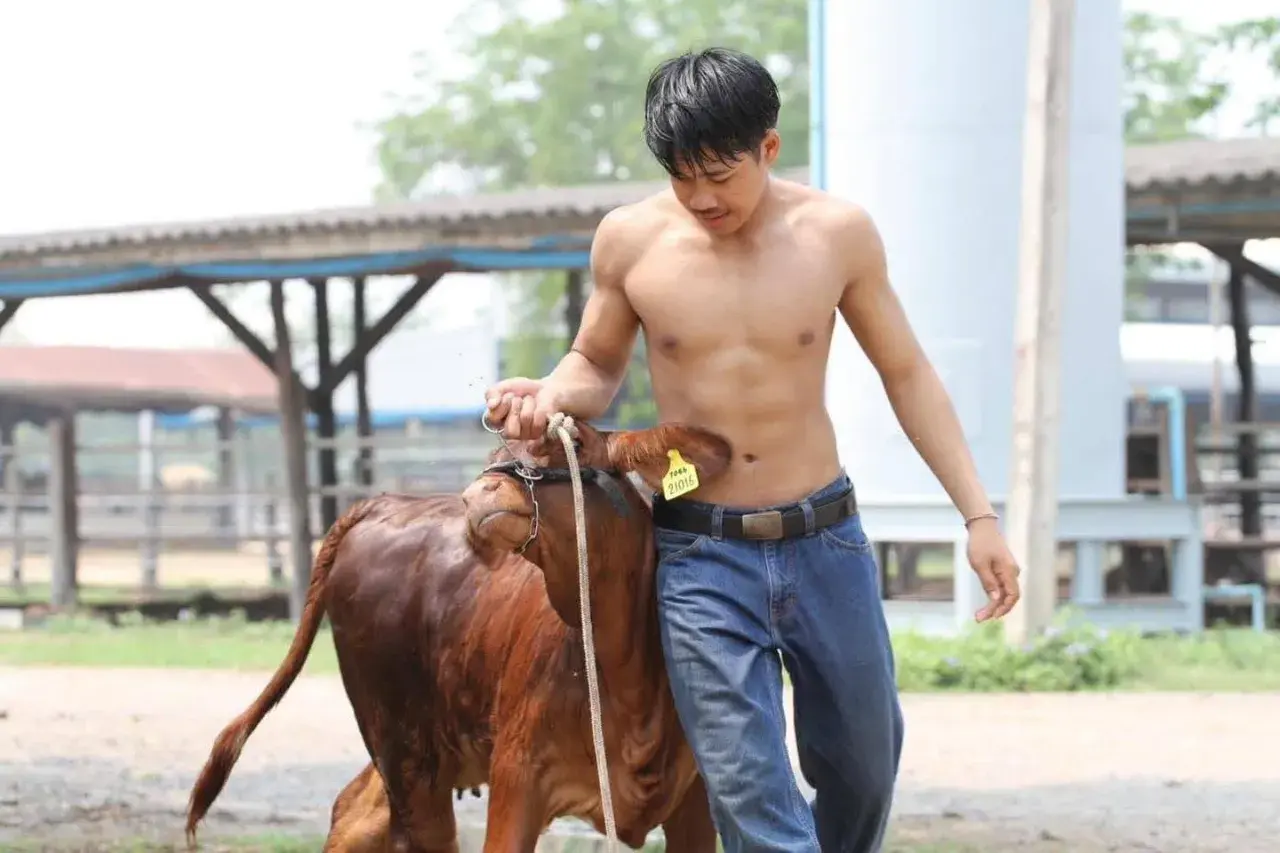 อมกล้วยแล้วอวยคม