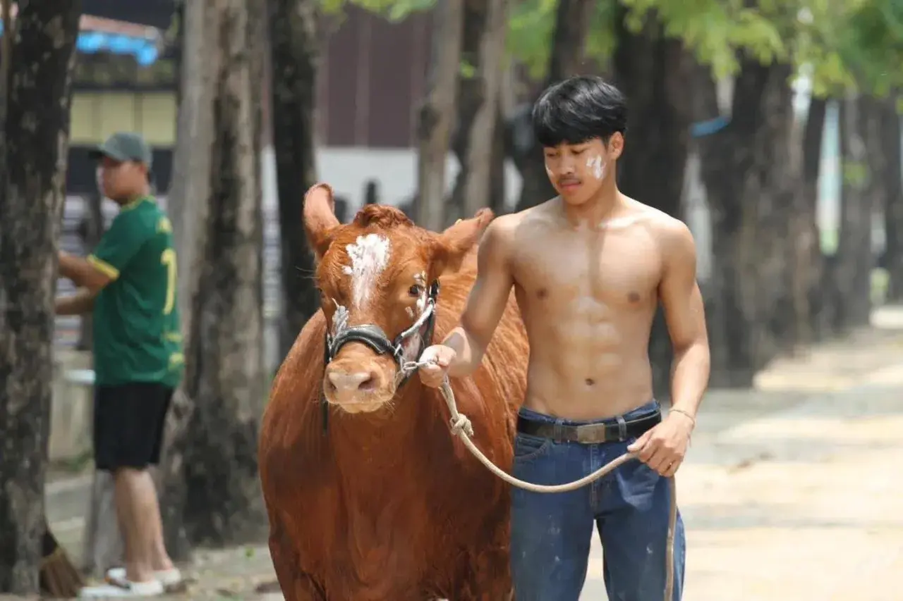 อมกล้วยแล้วอวยคม