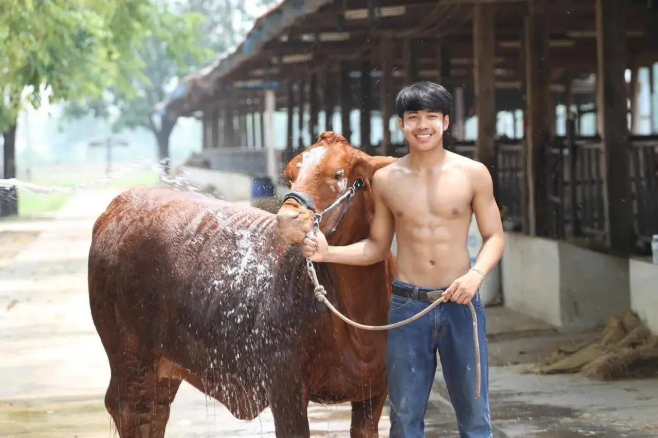 อมกล้วยแล้วอวยคม