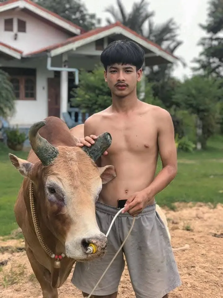 หญ้าอ่อนเอวร่อนดี