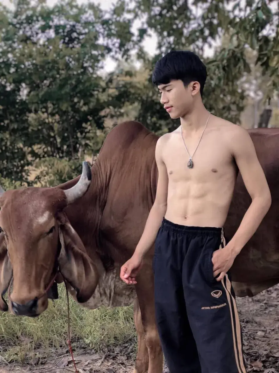 หญ้าอ่อนเอวร่อนดี