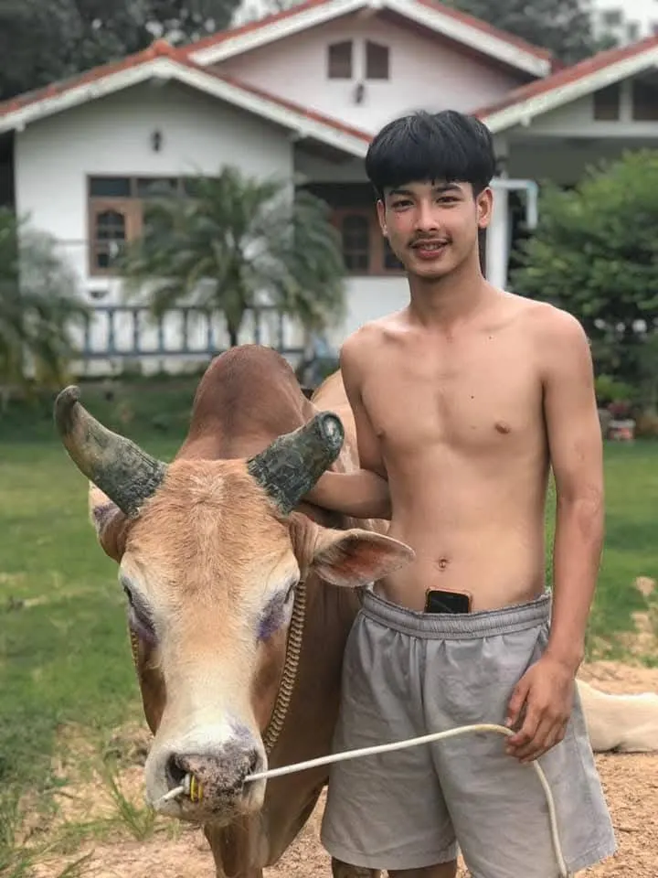 หญ้าอ่อนเอวร่อนดี