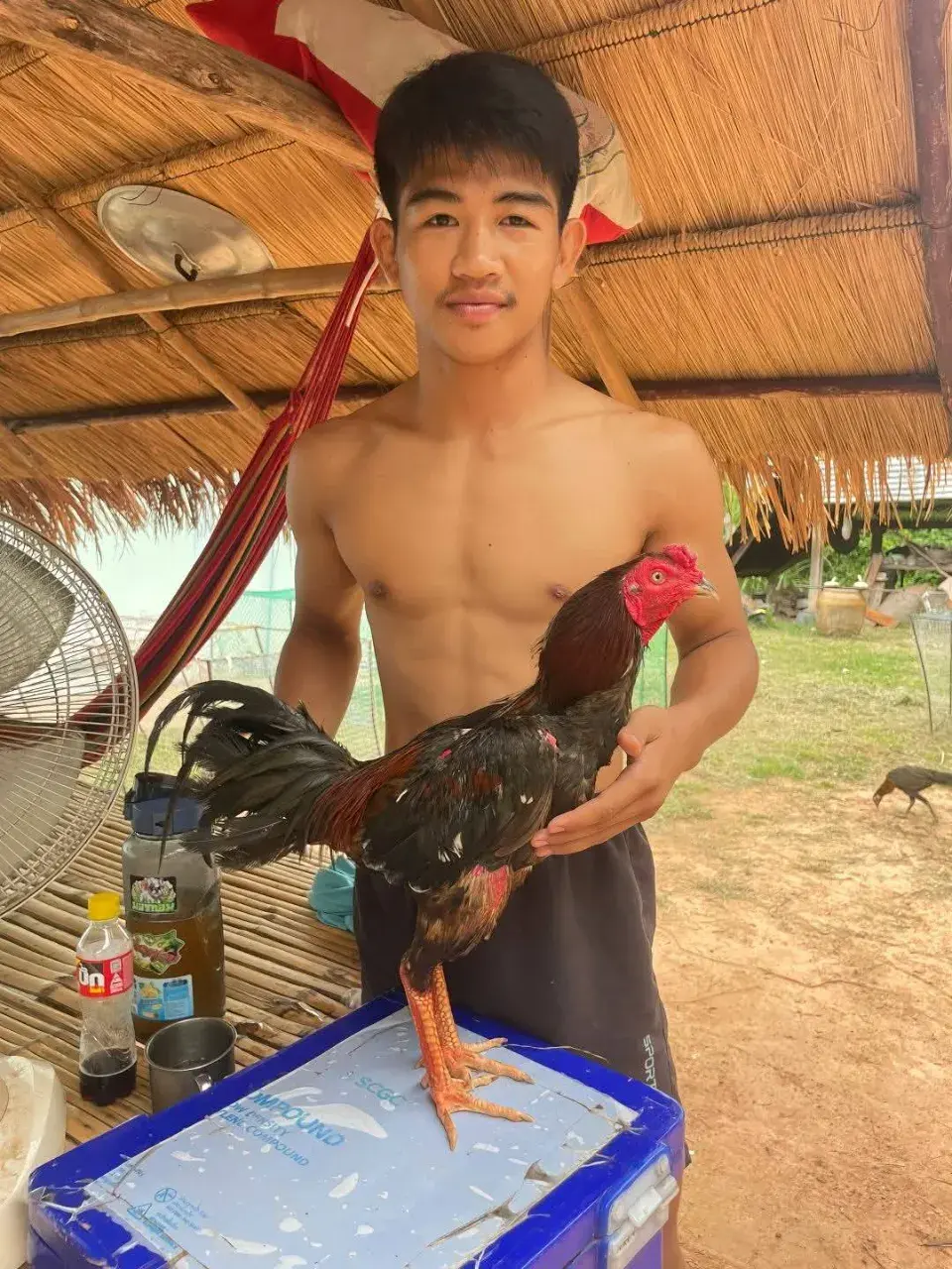 หญ้าอ่อนเอวร่อนดี