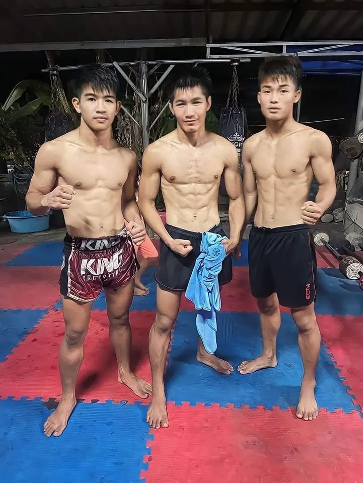 Boxer