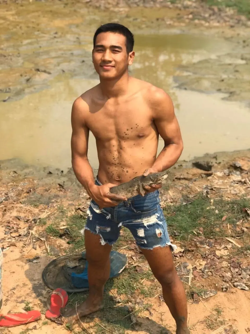 Boxer