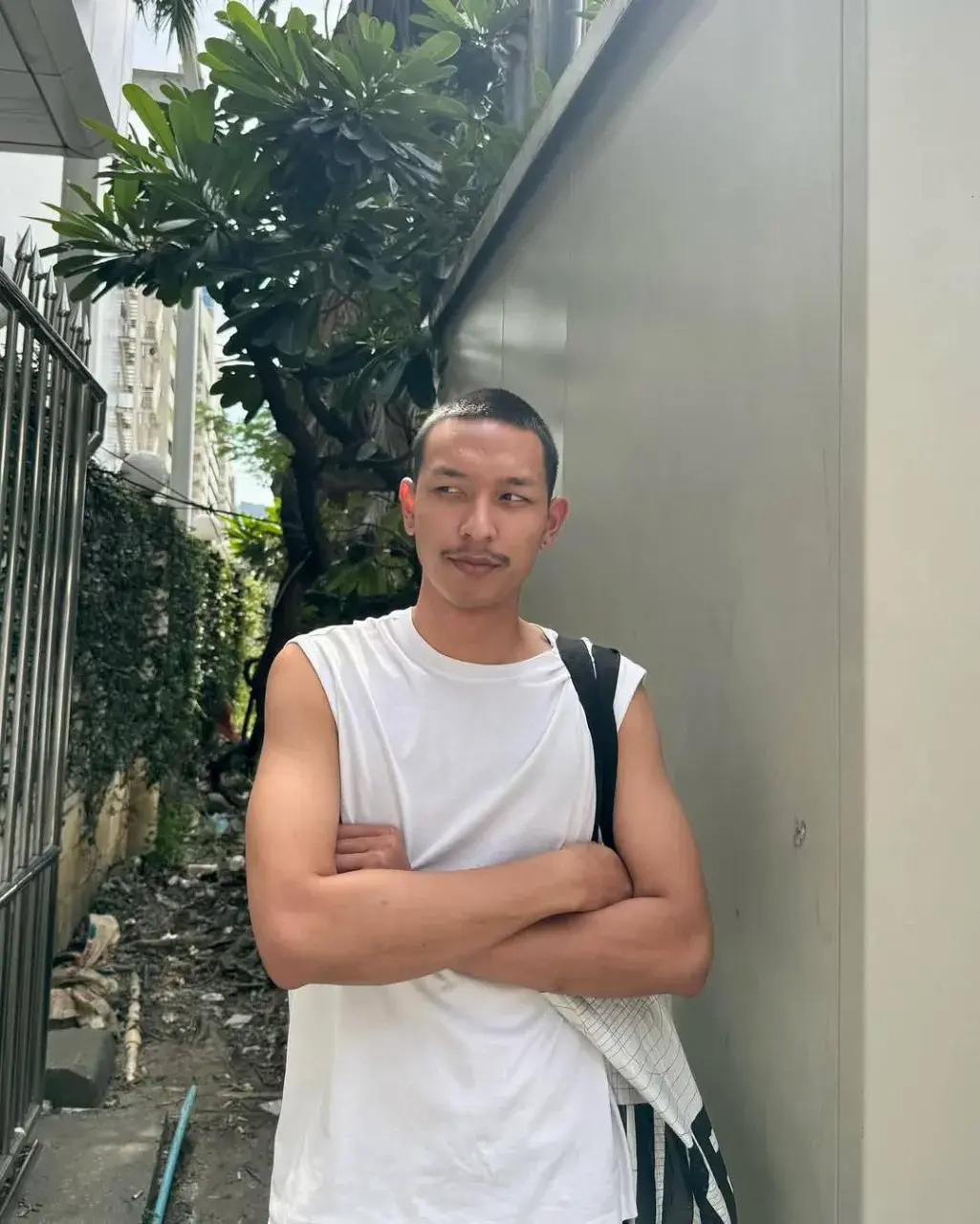 หญ่าอ่อนเห็นแล้วคันคาย