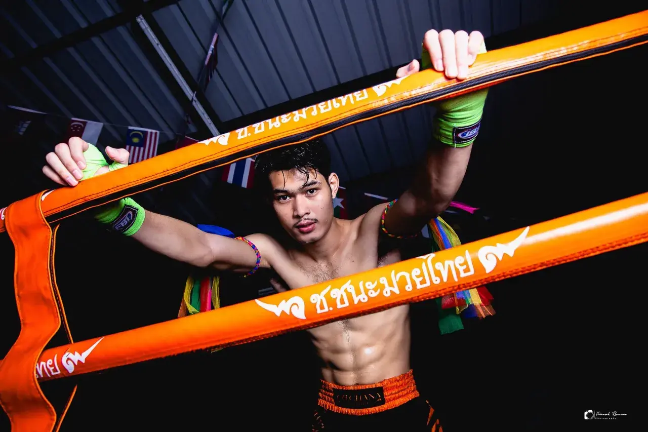 ดูดเลียนมอมคย