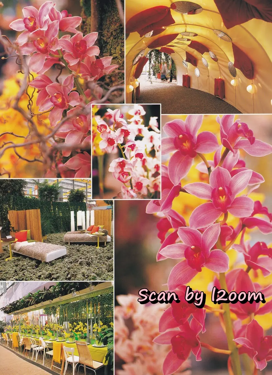 (วันวาน) ปอ ปานเลขา @ นิตยสาร เพื่อนเดินทาง ปีที่ 24 ฉบับที่ 271 กรกฎาคม 2545