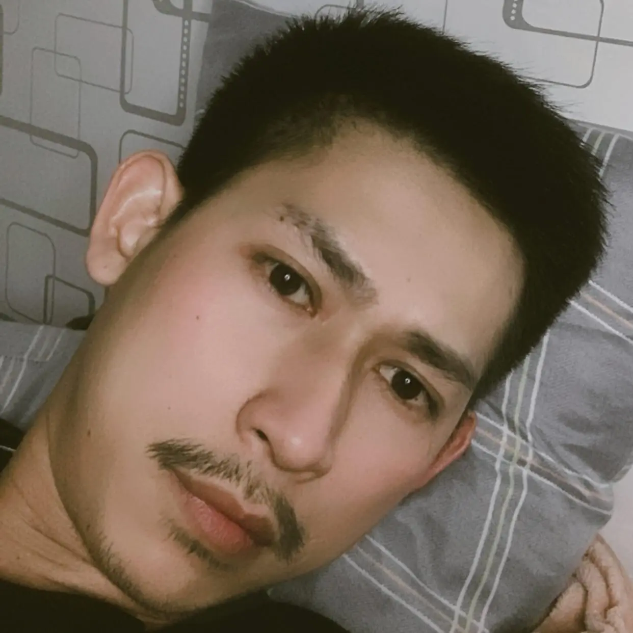 ติดกับดักหญ้าอ่อน
