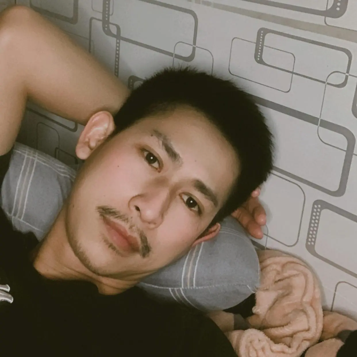ติดกับดักหญ้าอ่อน