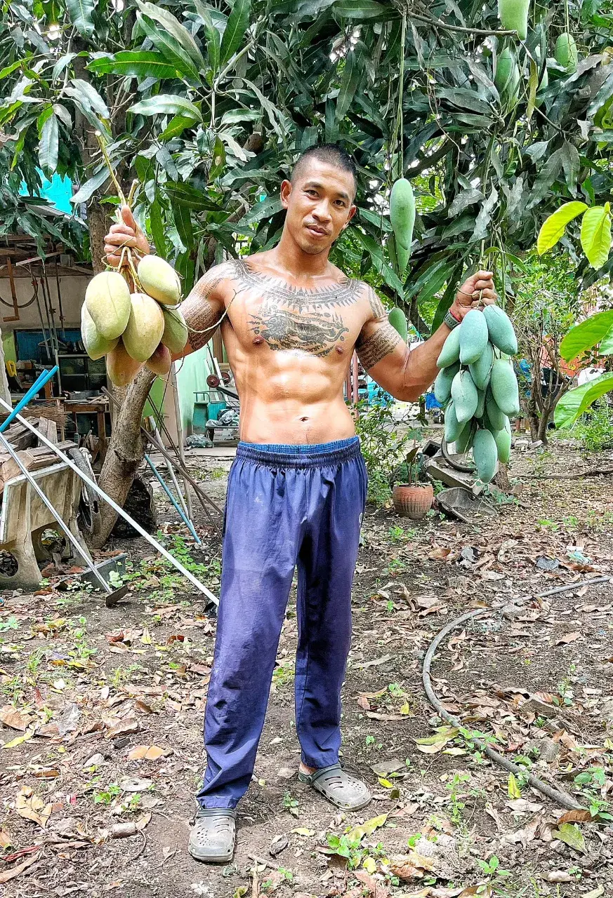 ให้ภาพมันบรรยาย