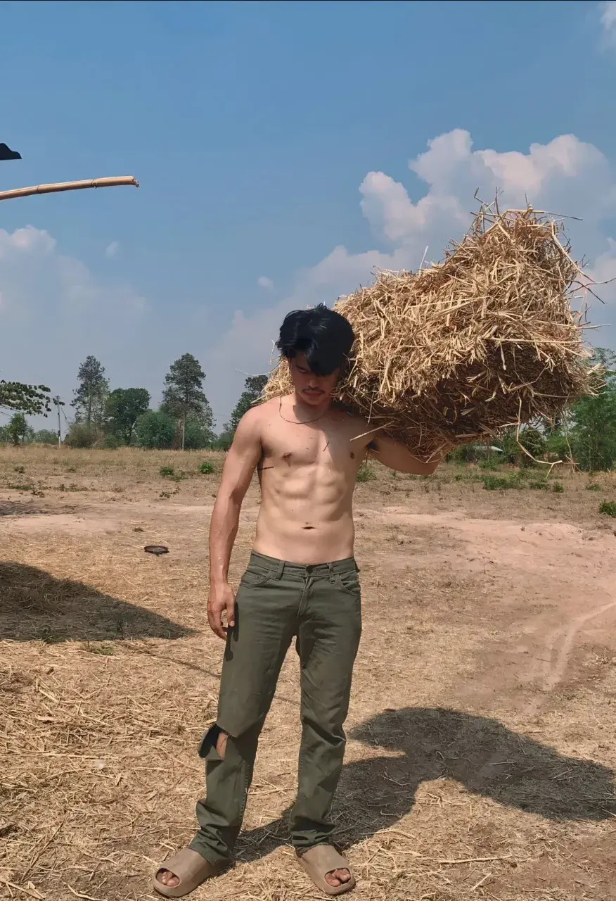 รวมมาฟิน