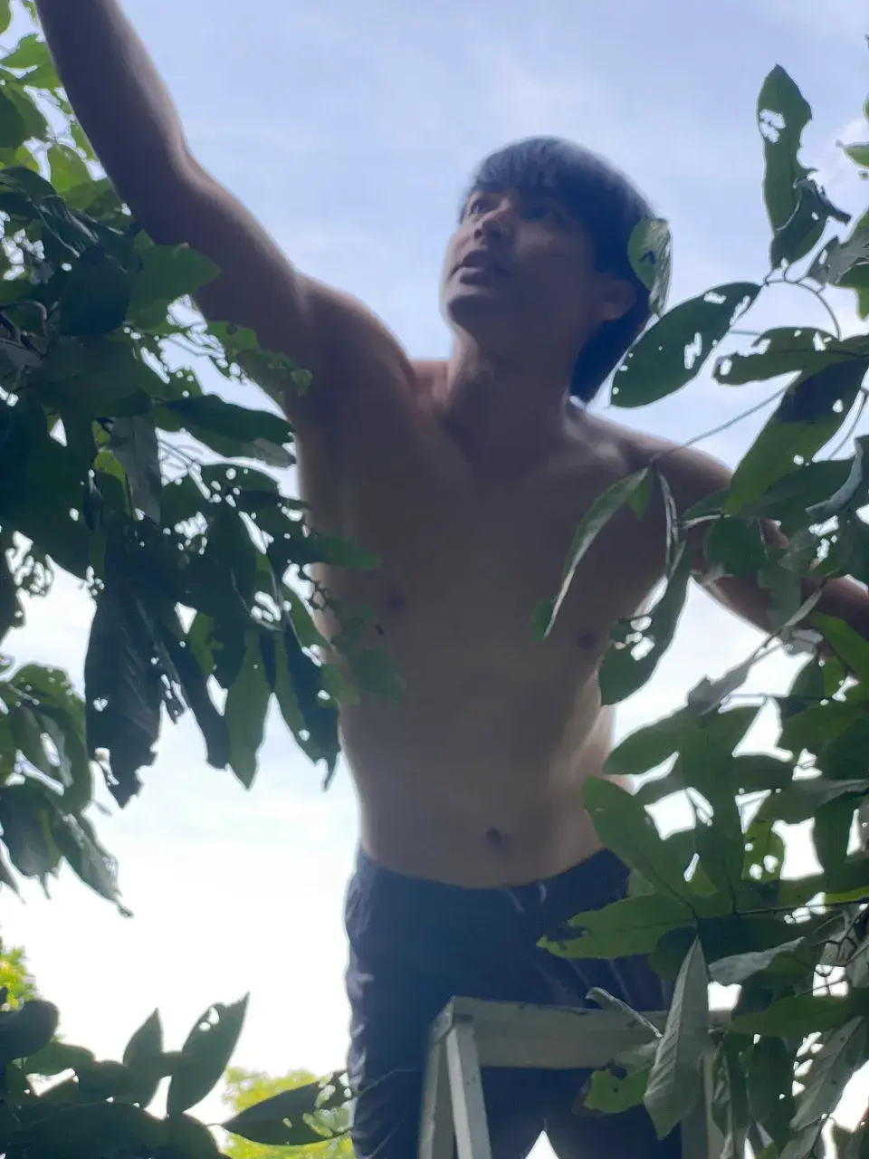 ไทบ้าน