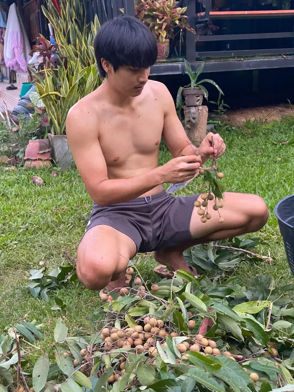 อาเต๋าไทบ้าน