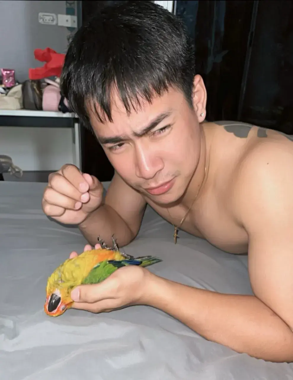 เอื้อยค้าปปป