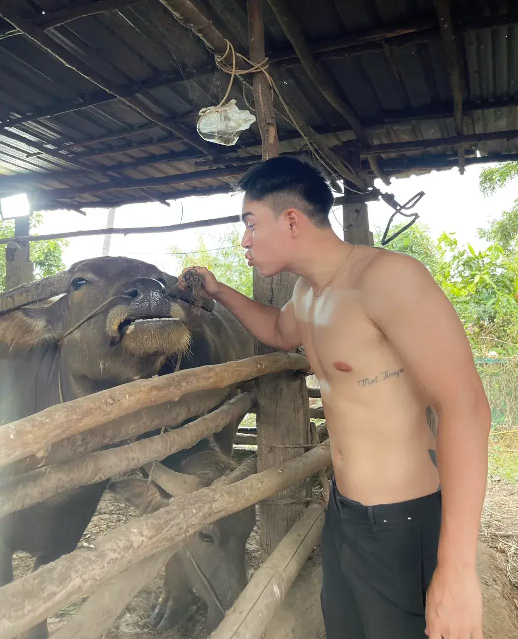เอื้อยค้าปปป