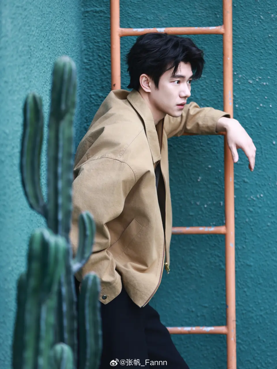 Actor : Zhang Fan / 张帆