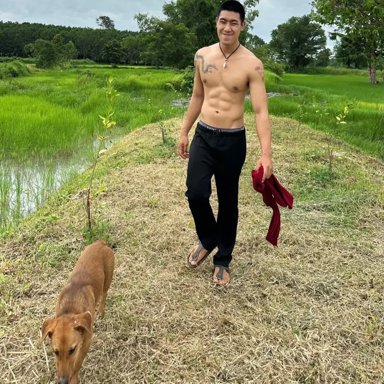ถ้าเจอจะดูดให้ดิ้นเลย