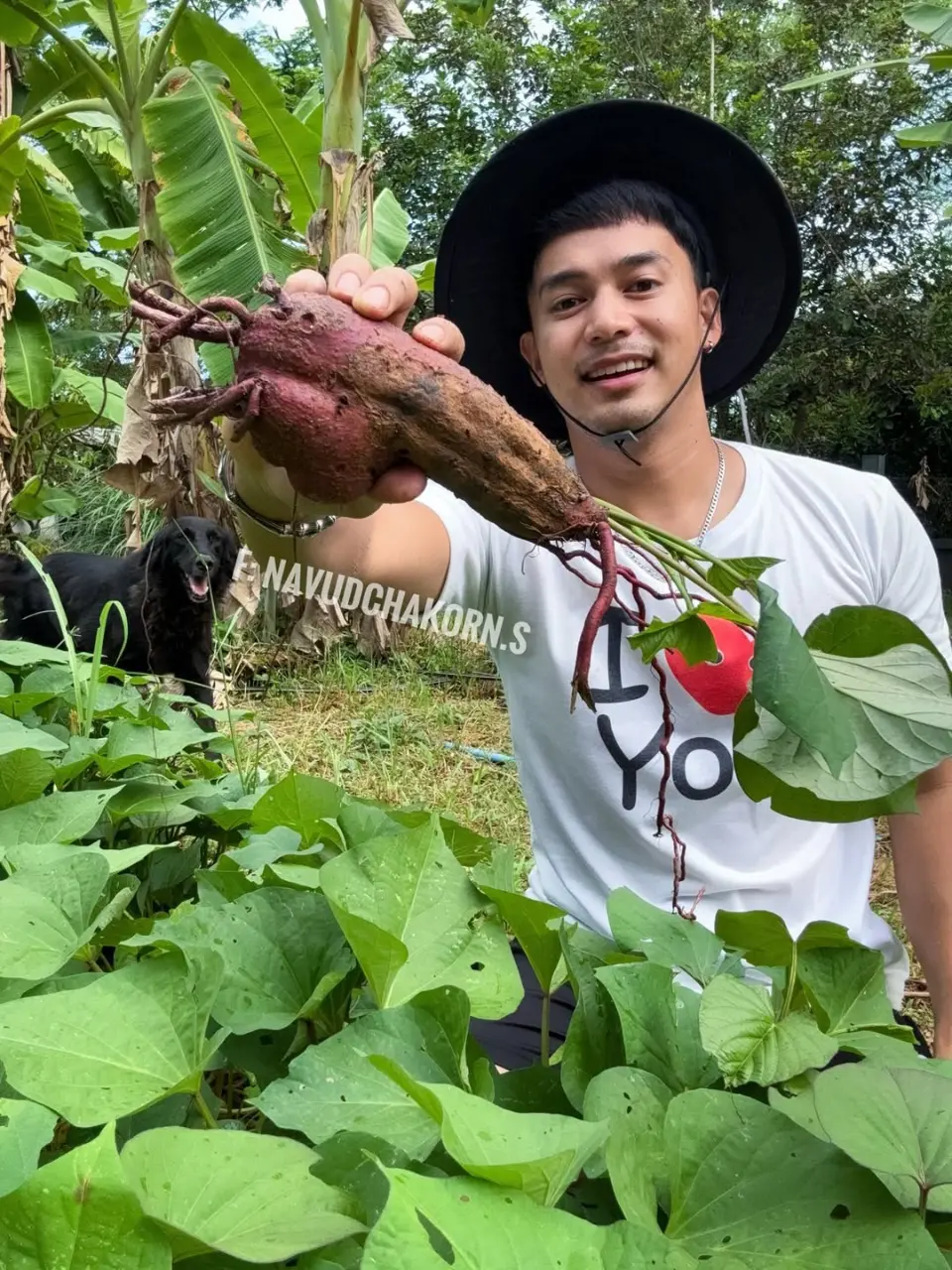 A gardener who loves cooking : Navudchakorn Sanandang