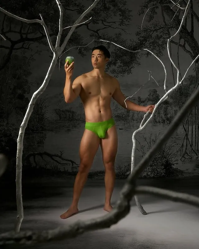 APPLES