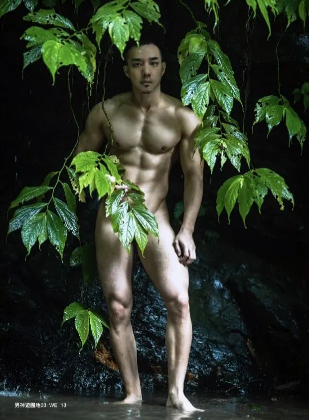IN WONDERLAND NO.03