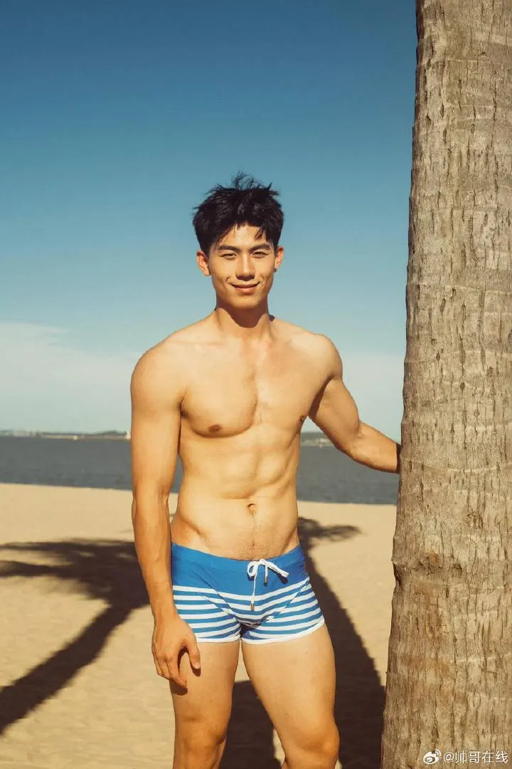 Cool guy : 自由的多比