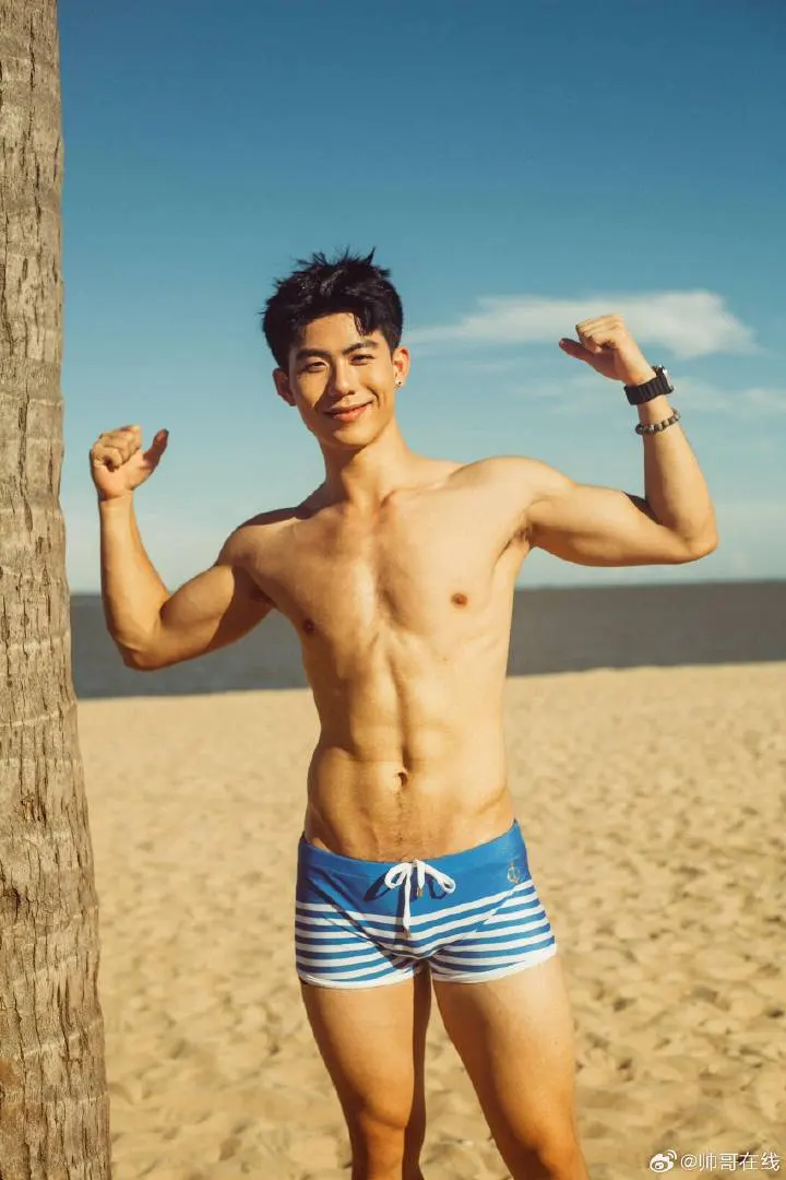 Cool guy : 自由的多比