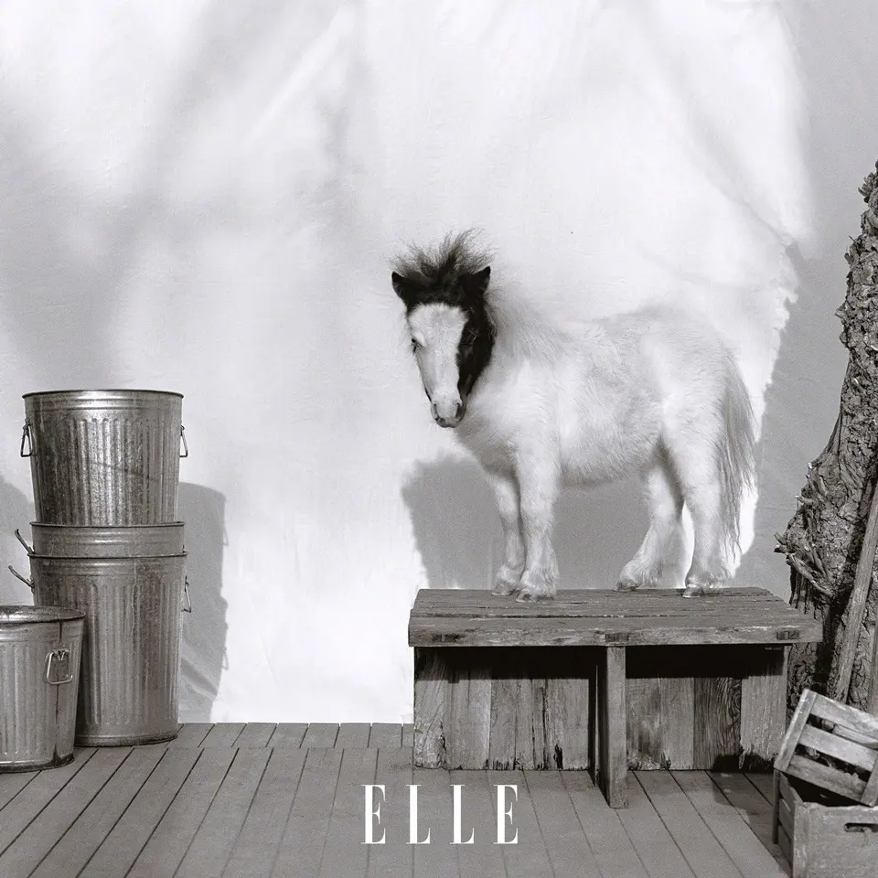 Jing Boran @ ELLE China February 2026