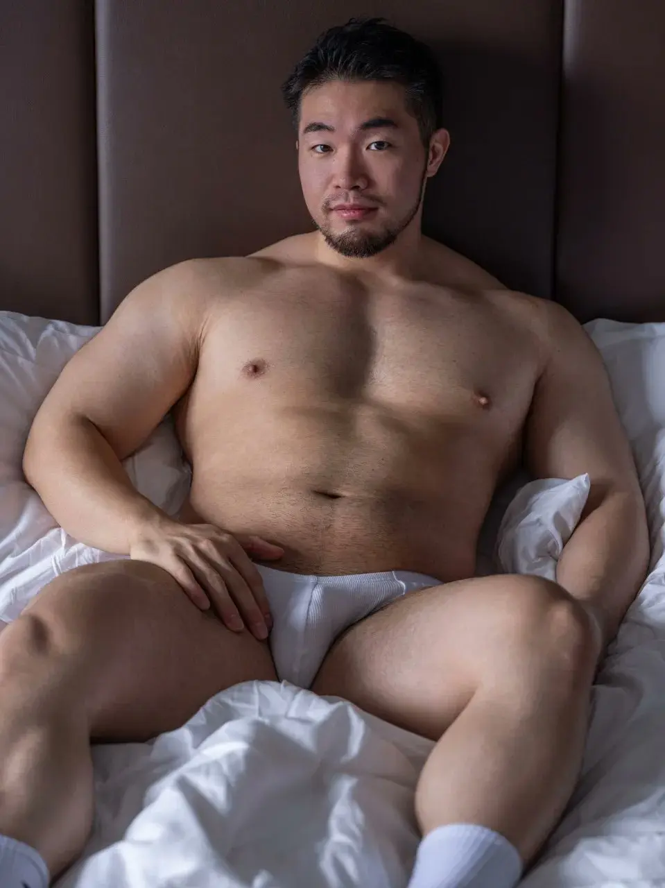 Muscle Model :  Gorilla Macho-kun