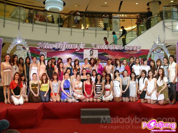 ทิฟฟานี 1
