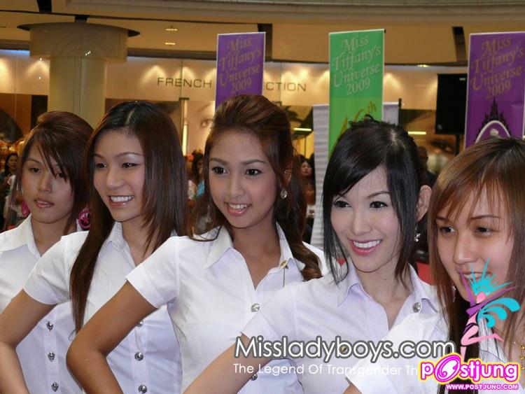 ทิฟฟานี 1